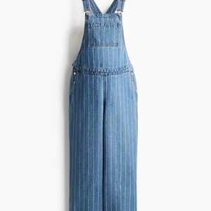 Women's Blue Denim Overalls